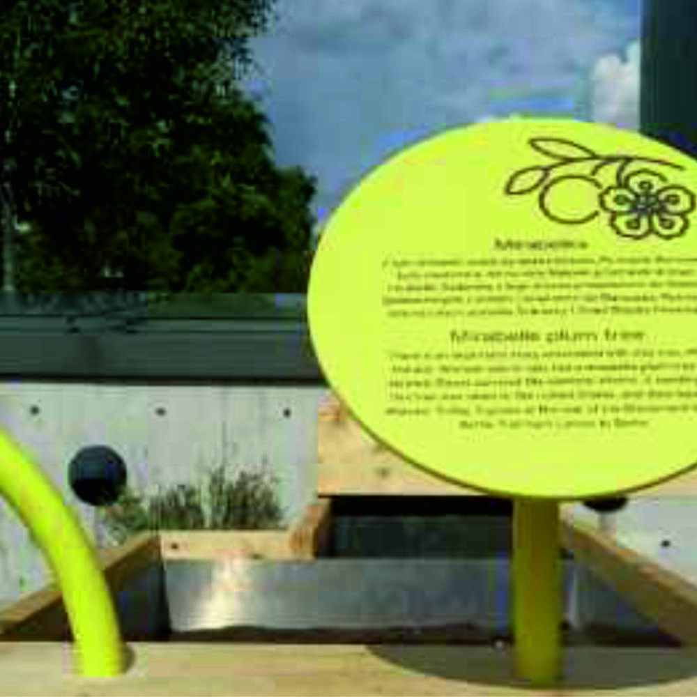 Shop Secondary Image